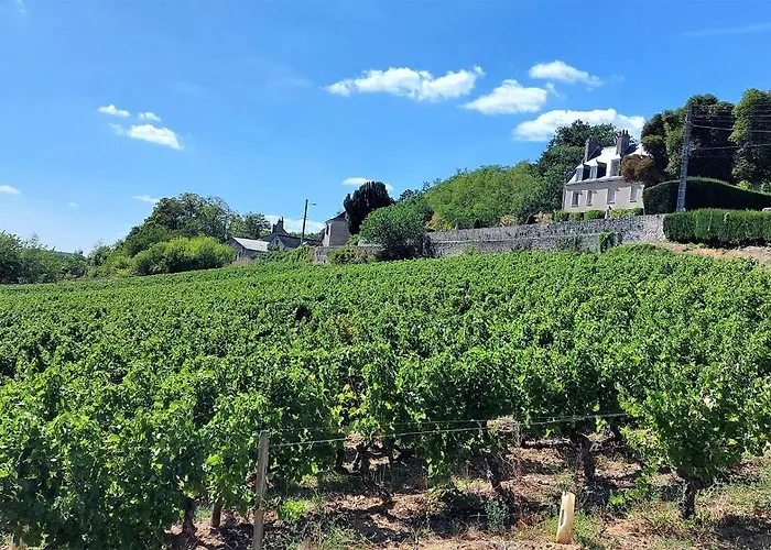 아파트 Le Balzac / Colbert - Bord De Loire